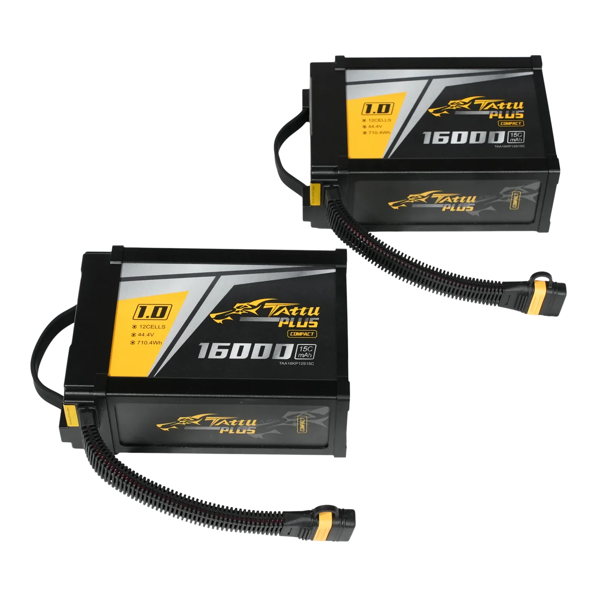 IF1200A Battery Kit